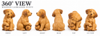 The Playful Labrador hand-carved natural oak dog sculpture – alternate 360-degree view