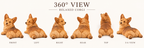The Relaxed Corgi hand-carved natural oak dog sculpture – alternate 360-degree view